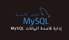 قواعد بيانات